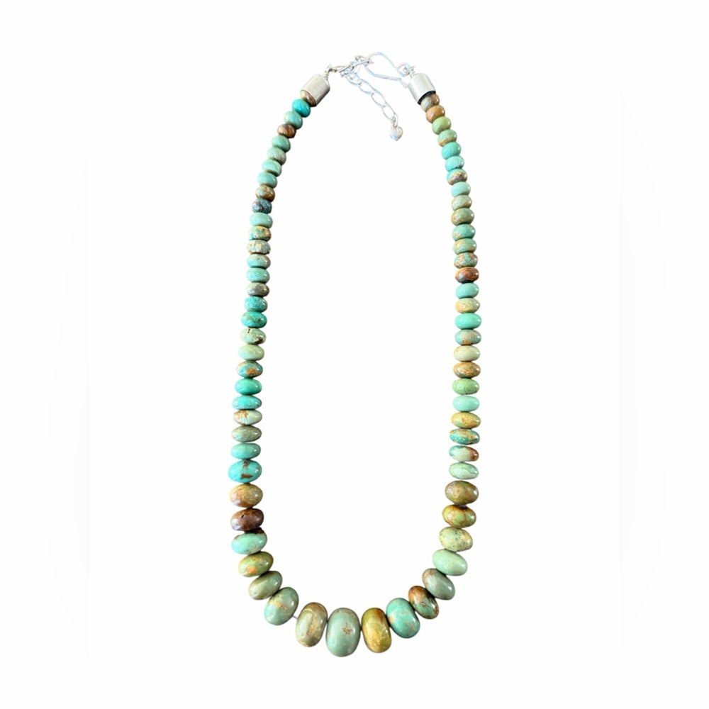 DTR jay king mine finds 925 sterling turquoise necklace